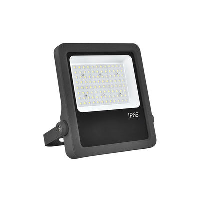 Aluminium Die-Casting 100W Led Flood Lights Indoor Garden Flood Light Voor pretpark