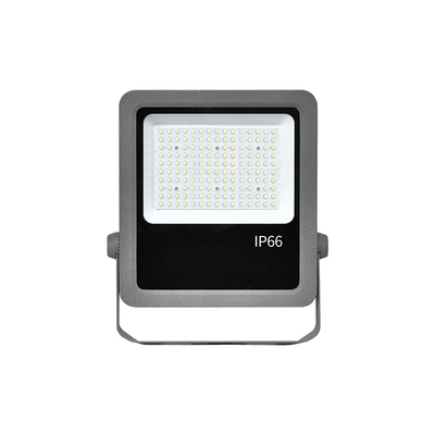 Aluminium Die-Casting 100W Led Flood Lights Indoor Garden Flood Light Voor pretpark