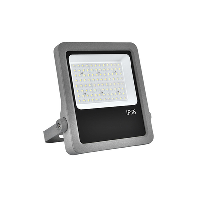 Aluminium Die-Casting 100W Led Flood Lights Indoor Garden Flood Light Voor pretpark